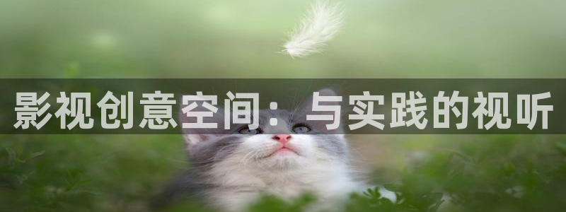 理論午夜片：影視創意空間：與實踐的視聽