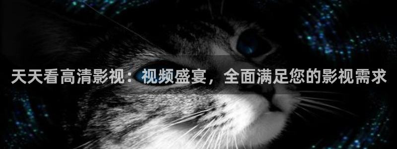 2023最新理論電影：天天看高清影視：視頻盛宴，全面滿足您的影視需求