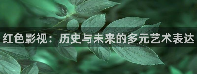 理論片免費(fèi)網(wǎng)站